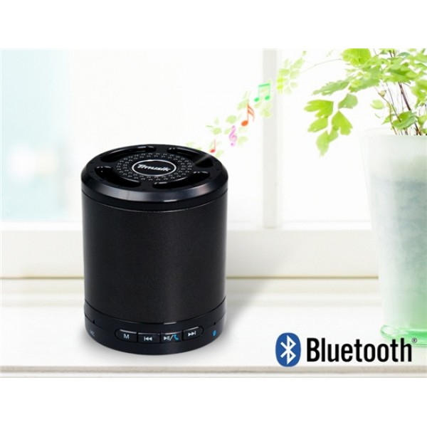 X200 Mini Wireless Bluetooth Speaker with FM Radio & TF Card Reader (Black)