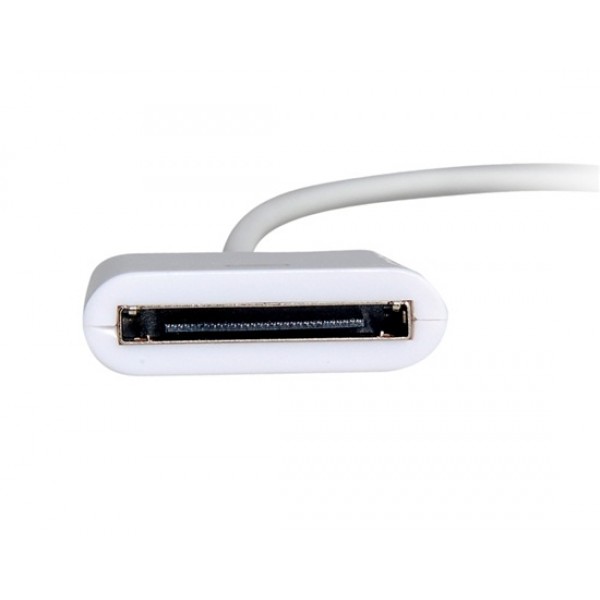 Conversion Cable for iPhone 5, iPad Mini, iPod Touch 5, iPod Nano 7, iPad 4 (White)