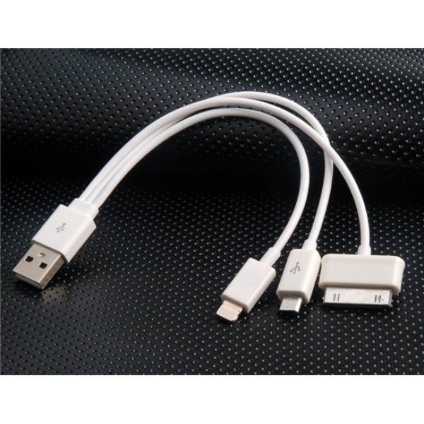 20 cm 1 to 3 Charge Cord for Apple Products (White...