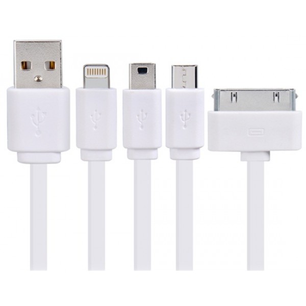 1-to-4 1M Colorful Flat USB Data Cable with Micro USB, Mini USB, 8-pin & 30-pin Interface (White)